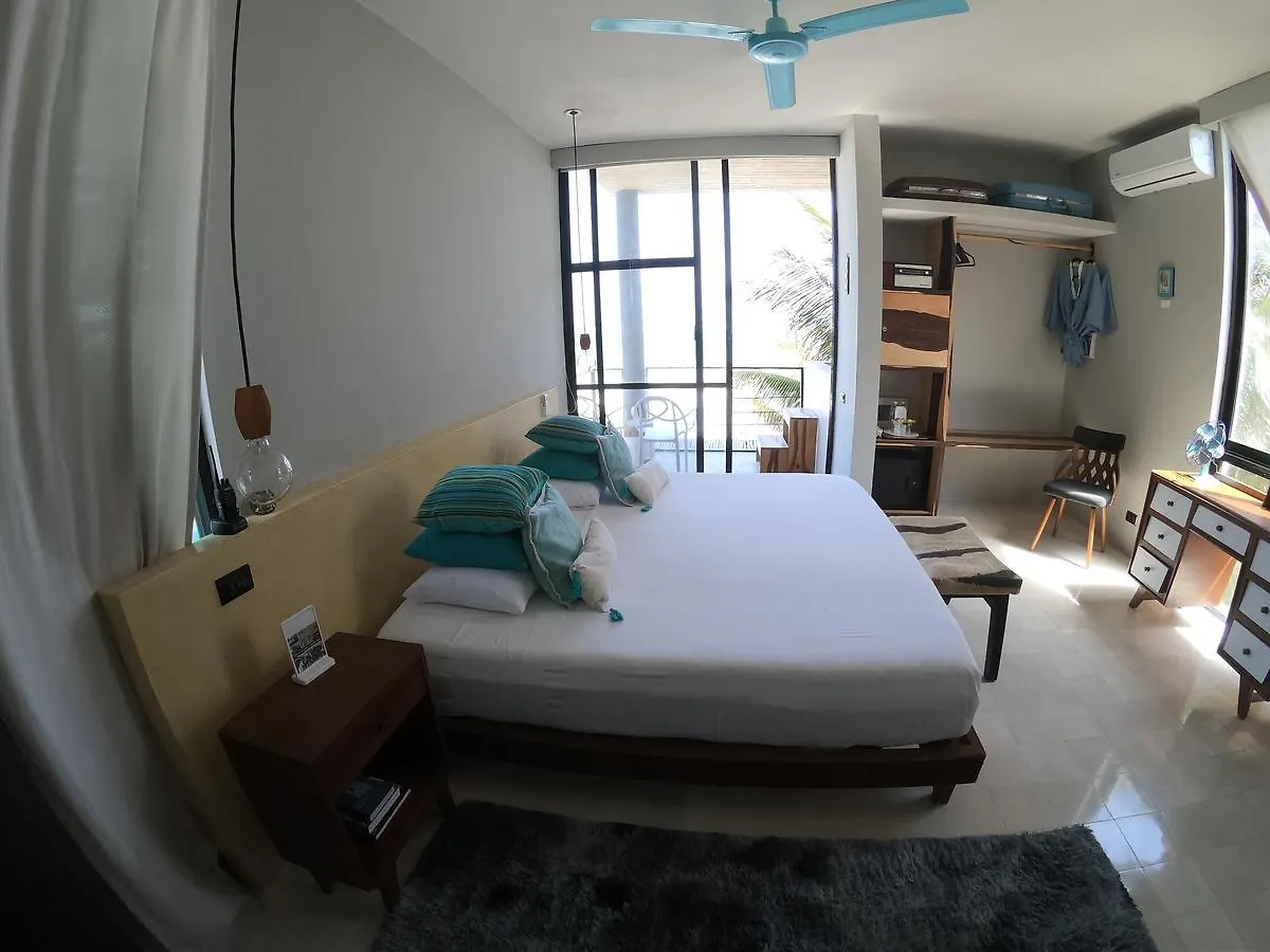 ***  بلايا ديل كارمن Hotel Tropicalito Tulum المكسيك
